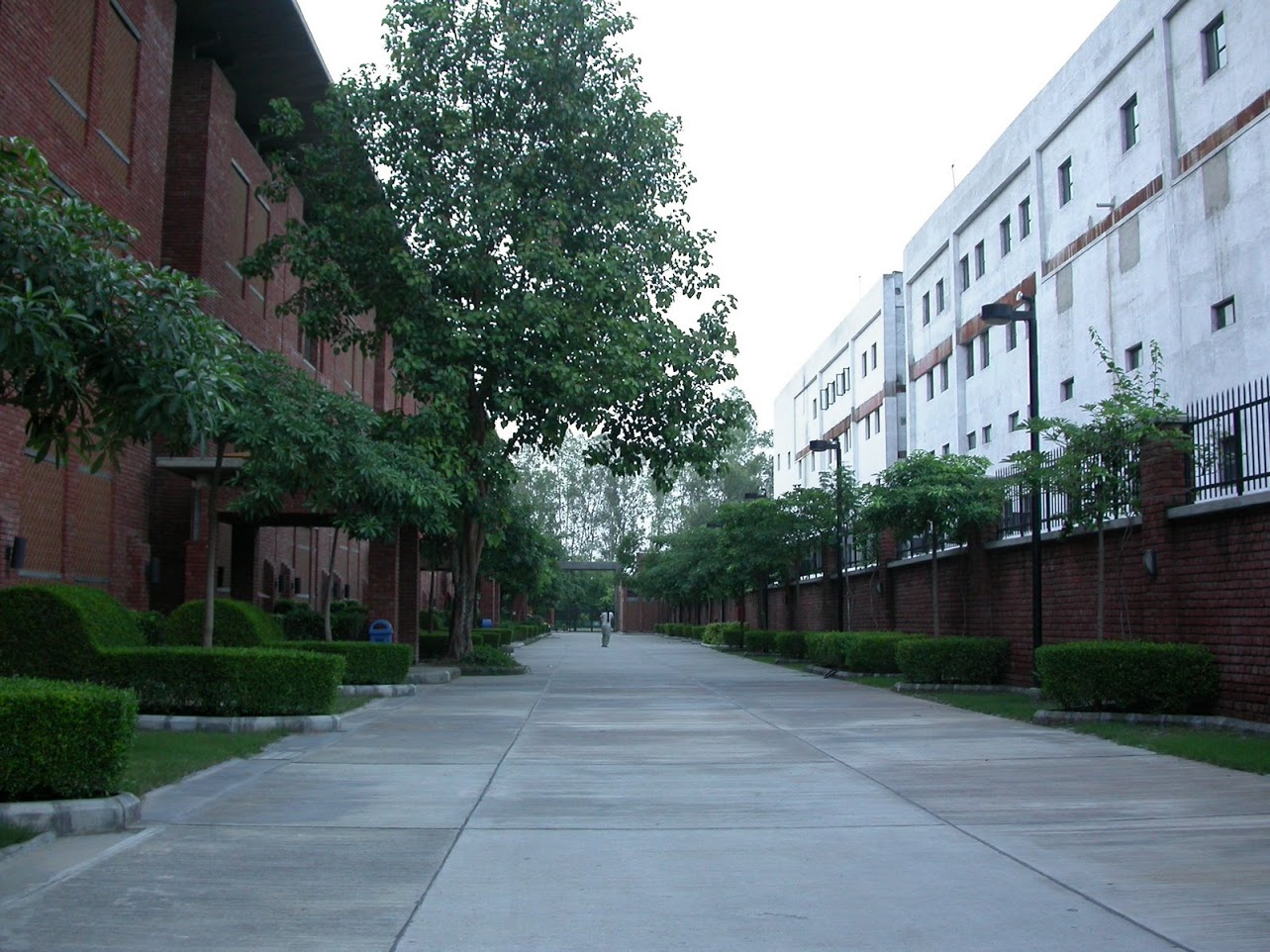 Jaypee Institute of Information Technology Noida campus photo 1